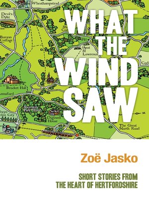 cover image of What the Wind Saw